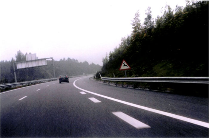 Deer-crossing road sign on the road to Vila Nova de Cerveira